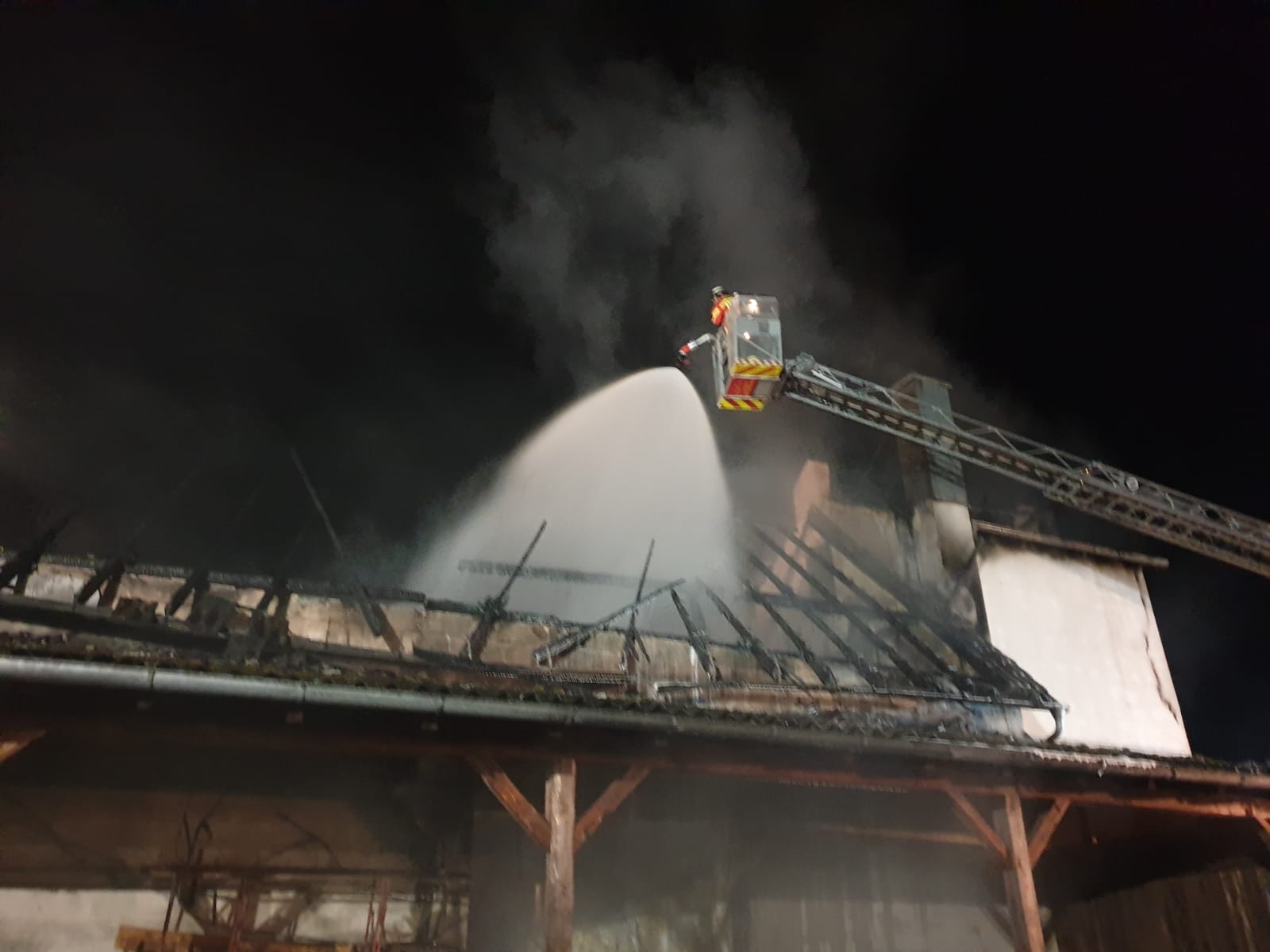 IMG-20211013-WA0028 groß.jpg